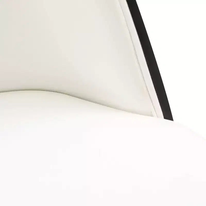 Chaises de salle à manger modernes