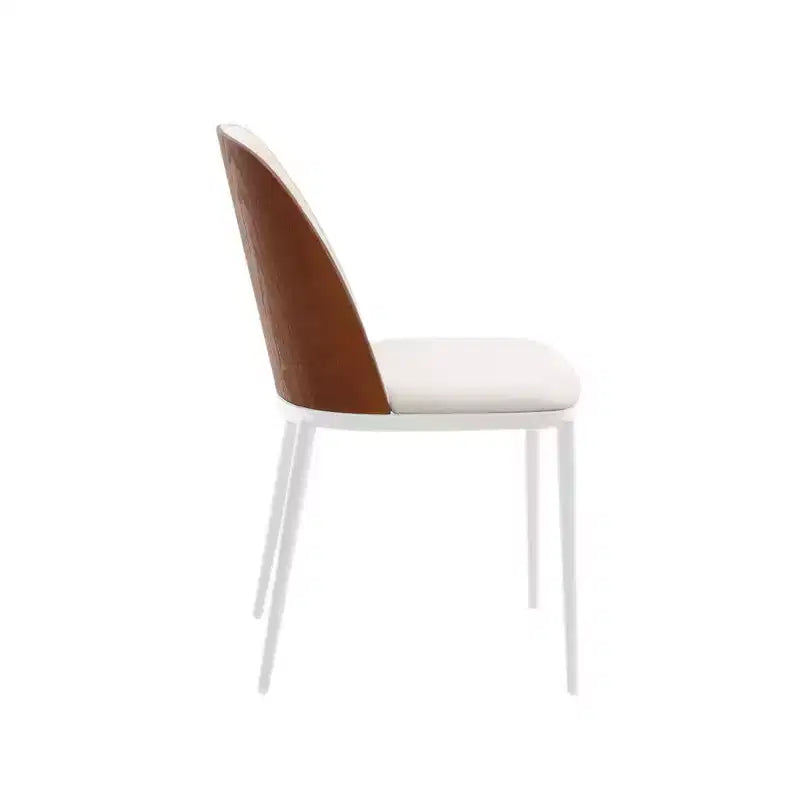 Chaises de salle à manger modernes